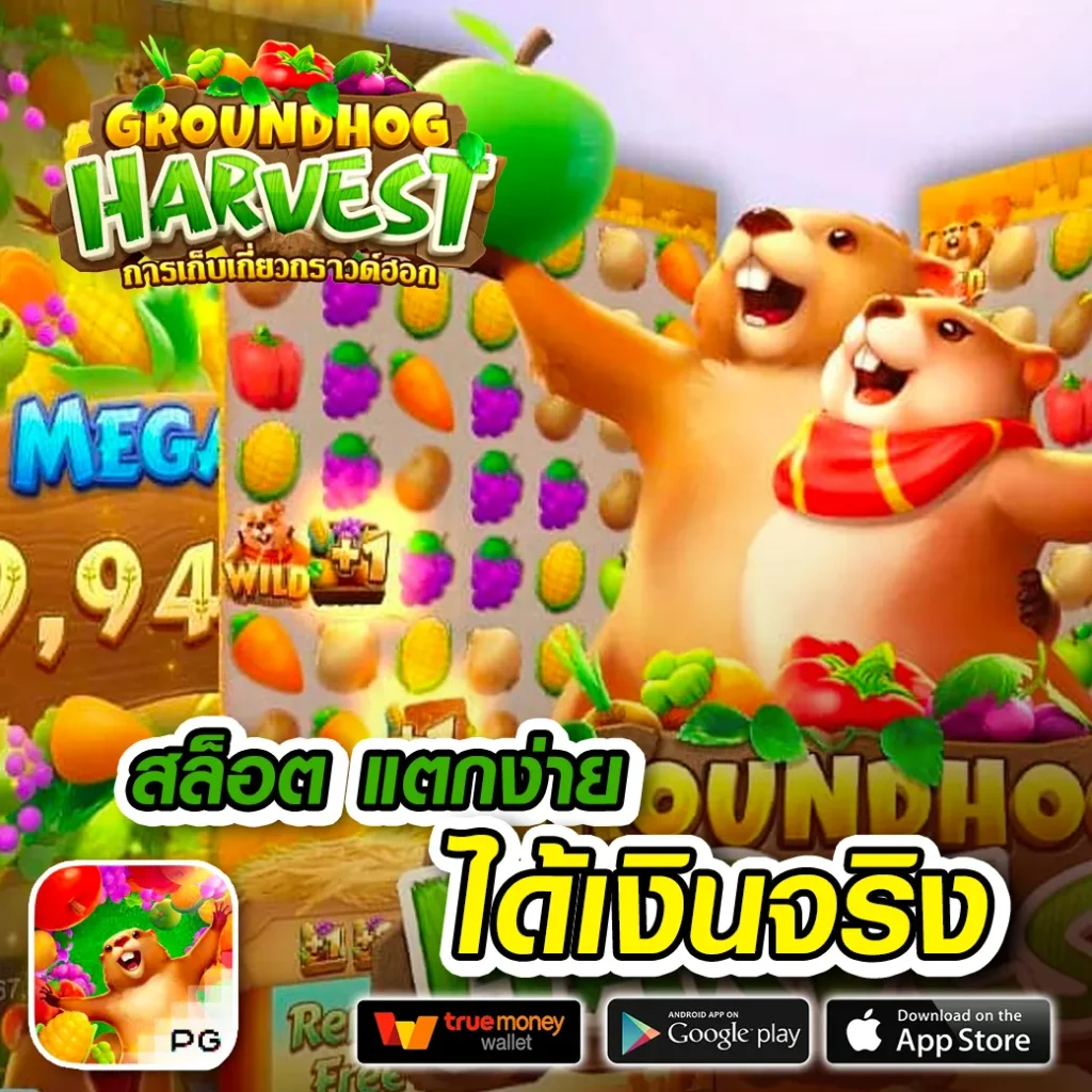 dnabetvip thai